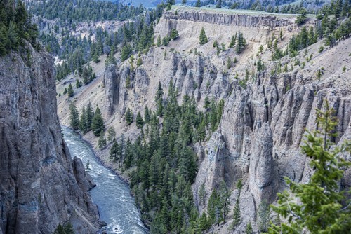 Yellowstone